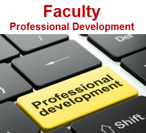 faculty professional development